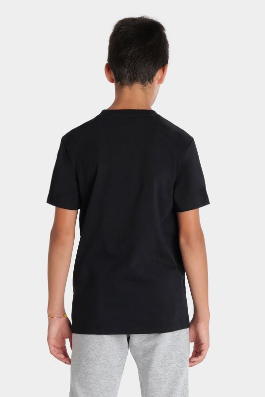 Футболка Arena TEAM T-SHIRT PANEL