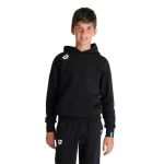 Худі Arena TEAM HOODED SWEAT PANEL Худі Arena TEAM HOODED SWEAT PANEL