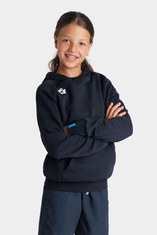 Худі Arena TEAM HOODED SWEAT PANEL