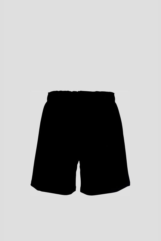 Шорти Arena SHORT SOLID