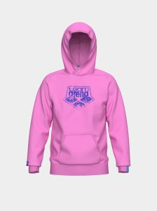 Худі Arena HOODED SWEAT ARENA LOGO