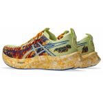 Кросівки чоловічі Asics NOOSA TRI 16 1011B872-751