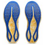 Кросівки чоловічі Asics NOOSA TRI 16 1011B872-751