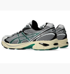 Кросівки Asics GT-2160