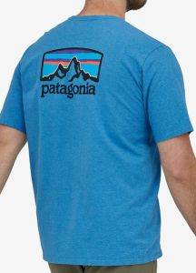 Футболка Patagonia tee
