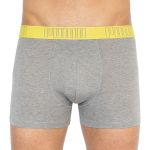 Труси-боксери Puma YD BOLD STRIPE BOXER 2P сірий, жовтий Чол L