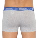 Труси-боксери Puma WORLDHOOD STRIPE TRUNK 2P синій, білий, сірий, чорний Чол L