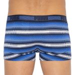Труси-боксери Puma WORLDHOOD STRIPE TRUNK 2P синій, білий, сірий, чорний Чол L