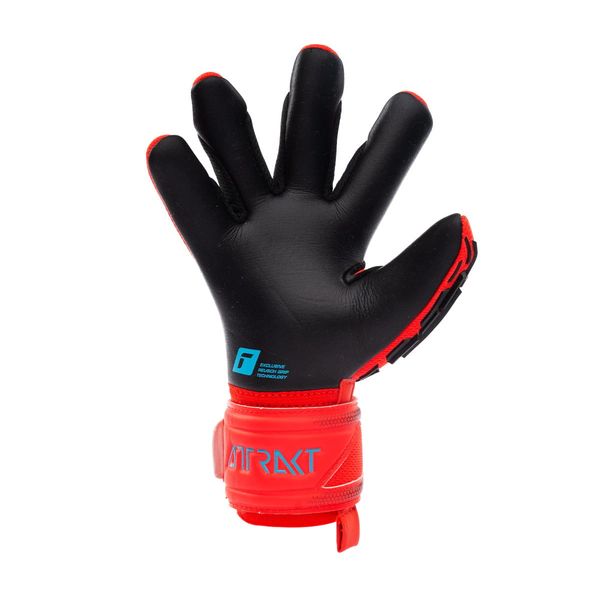 Рукавиці воротарські Reusch Attrakt Freegel Silver Junior