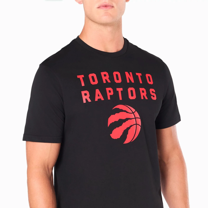 Футболка New Era RAPTORS