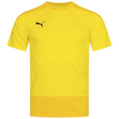 Футболка PUMA teamGOAL Men's Training Jersey
