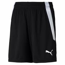 Шорти жіночі Puma Teamliga Shorts W Black 704936-03, Цвет Чёрный, Размер (Европа) - L