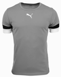 Футболка Puma teamRISE Jersey Jr сірий Діт