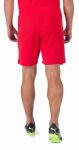 Шорти Puma teamRISE Short червоний Чол L