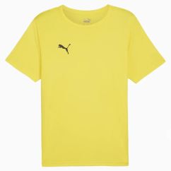 Футболка Puma teamRISE Matchday