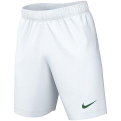 Шорти тренувальні Nike Y NK DF PARK III SHORT NB K
