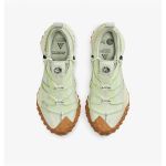 Кросівки Nike ACG MOUNTAIN FLY LOW GTX SE