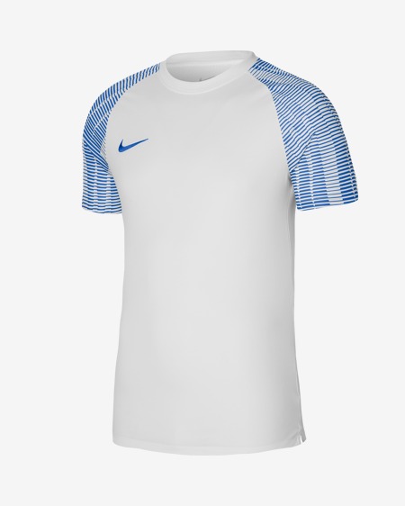 Футболка ігрова Nike Dri-FIT Academy DH8369-102