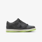 Кросівки Nike Dunk Low Halloween (2022) (GS) Iron Grey