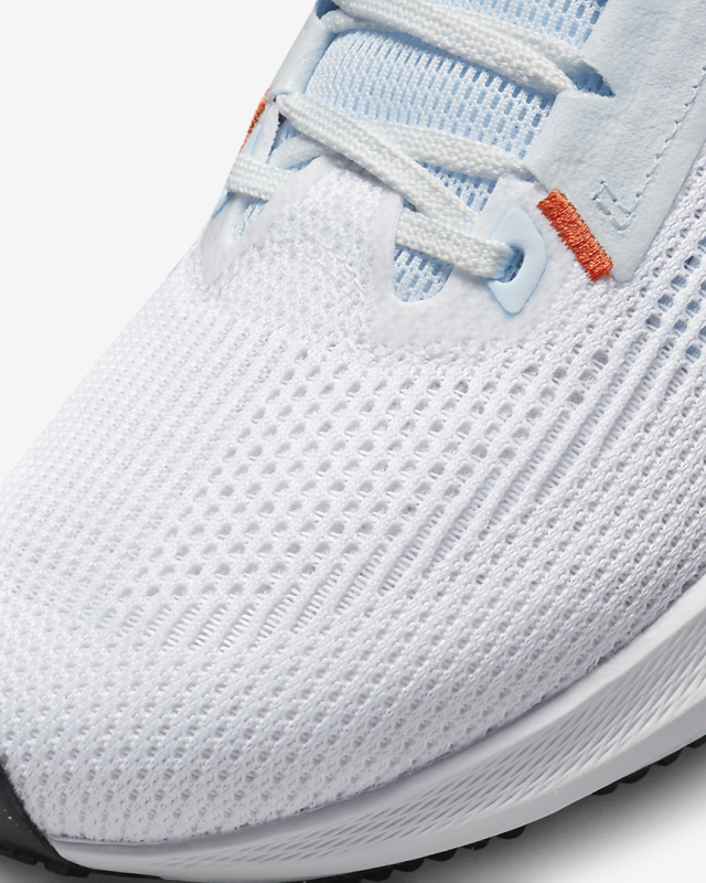 Кросівки бігові Nike Pegasus 40 DV3854-102