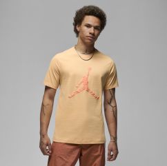 Футболка чоловіча Air Jordan Ess Ss Crew 3 Yellow