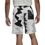 Шорти  JORDAN MVP