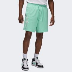 Шорти чоловічі Air Jordan Essentials Shorts Green