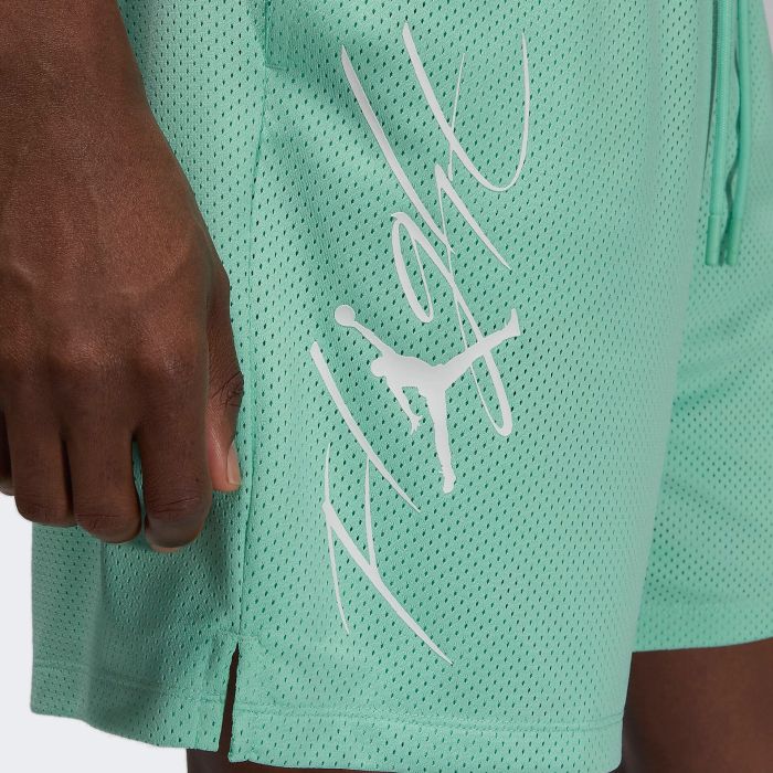 Шорти чоловічі Air Jordan Essentials Shorts Green