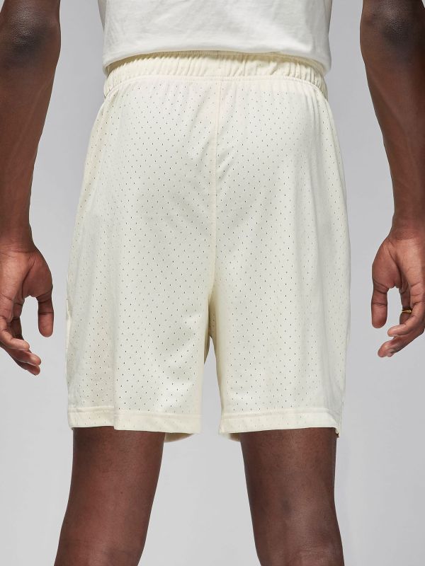 Шорти чоловічі Air Jordan Sport Dri-Fit White
