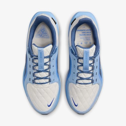Кросівки Nike W AIR WINFLO 11 GTX