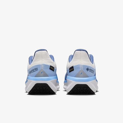Кросівки Nike W AIR WINFLO 11 GTX