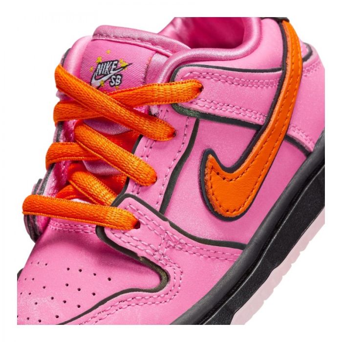 Кросівки Nike SB DU LOW PRO QS TD