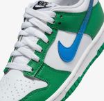 Кросівки Nike DUNK LOW GS