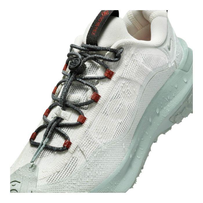 Кросівки Nike Acg Mountain Fly 2 Low Gore-Tex Grey