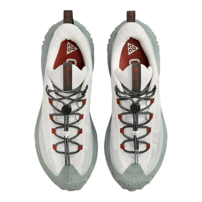 Кросівки Nike Acg Mountain Fly 2 Low Gore-Tex Grey