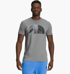 Футболка чоловіча The North Face Half Dome