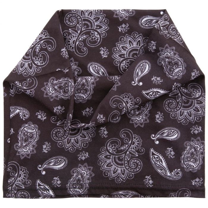 Баф BUSBY - ADULT FACE COVERING UAHSSCTR0007-PAISLEY PRINT Trespass TU Коричневий